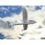 Kép 17/43 - Sky-king 3 csatornás vitorlázó Wltoys F959 repülő szett